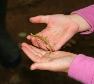 Unknown female